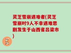 灵芝雪崩遇难者(灵芝雪崩时9人不幸遇难悲剧发生于山西省吕梁市)