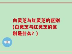 白灵芝与红灵芝的区别(白灵芝与红灵芝的区别是什么？)