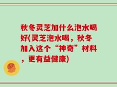 秋冬灵芝加什么泡水喝好(灵芝泡水喝，秋冬加入这个“神奇”材料，更有益健康)