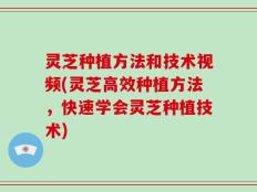 灵芝种植方法和技术视频(灵芝高效种植方法，快速学会灵芝种植技术)