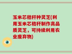 玉米芯秸秆种灵芝(利用玉米芯秸秆制作高品质灵芝，可持续利用农业废弃物)