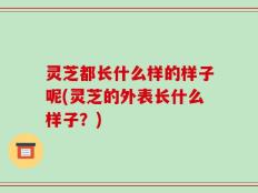 灵芝都长什么样的样子呢(灵芝的外表长什么样子？)