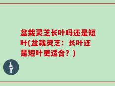 盆栽灵芝长叶吗还是短叶(盆栽灵芝：长叶还是短叶更适合？)