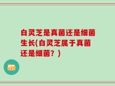 白灵芝是真菌还是细菌生长(白灵芝属于真菌还是细菌？)