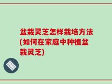 盆栽灵芝怎样栽培方法(如何在家庭中种植盆栽灵芝)