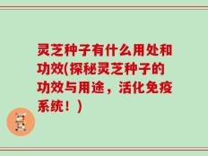 灵芝种子有什么用处和功效(探秘灵芝种子的功效与用途，活化免疫系统！)