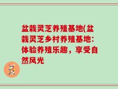 盆栽灵芝养殖基地(盆栽灵芝乡村养殖基地：体验养殖乐趣，享受自然风光