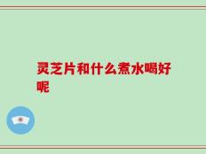 灵芝片和什么煮水喝好呢