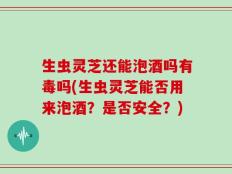 生虫灵芝还能泡酒吗有毒吗(生虫灵芝能否用来泡酒？是否安全？)
