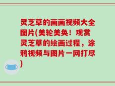 灵芝草的画画视频大全图片(美轮美奂！观赏灵芝草的绘画过程，涂鸦视频与图片一网打尽)