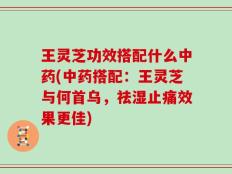 王灵芝功效搭配什么中药(中药搭配：王灵芝与何首乌，祛湿止痛效果更佳)