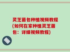 灵芝菌包种植视频教程(如何在家种植灵芝菌包：详细视频教程)