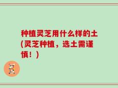 种植灵芝用什么样的土(灵芝种植，选土需谨慎！)