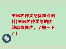 玉米芯种灵芝优缺点图片(玉米芯种灵芝的优缺点及图片，了解一下？)