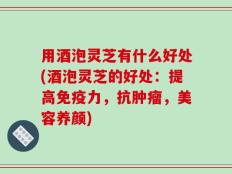 用酒泡灵芝有什么好处(酒泡灵芝的好处：提高免疫力，抗肿瘤，美容养颜)