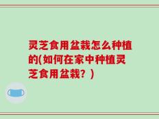 灵芝食用盆栽怎么种植的(如何在家中种植灵芝食用盆栽？)
