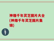 神雕千年灵芝图片大全(神雕千年灵芝图片集锦)