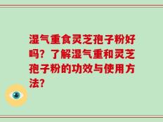 湿气重食灵芝孢子粉好吗？了解湿气重和灵芝孢子粉的功效与使用方法？