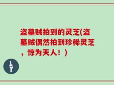 盗墓贼拍到的灵芝(盗墓贼偶然拍到珍稀灵芝，惊为天人！)