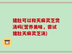 猪肚可以和天麻灵芝煲汤吗(营养美味，尝试猪肚天麻灵芝汤)