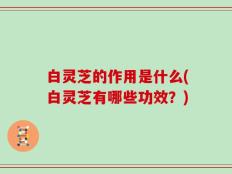 白灵芝的作用是什么(白灵芝有哪些功效？)