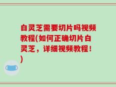 白灵芝需要切片吗视频教程(如何正确切片白灵芝，详细视频教程！)