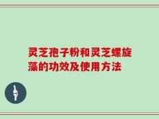 灵芝孢子粉和灵芝螺旋藻的功效及使用方法