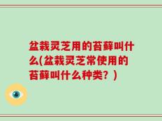 盆栽灵芝用的苔藓叫什么(盆栽灵芝常使用的苔藓叫什么种类？)
