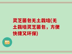 灵芝菌包无土栽培(无土栽培灵芝菌包，方便快捷又环保)