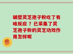 破壁灵芝孢子粉吃了有啥反应 ？已采集了灵芝孢子粉的灵芝功效作用怎样呢