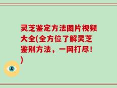 灵芝鉴定方法图片视频大全(全方位了解灵芝鉴别方法，一网打尽！)