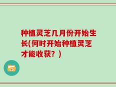 种植灵芝几月份开始生长(何时开始种植灵芝才能收获？)