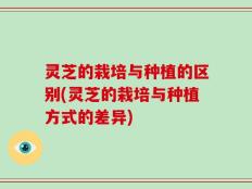 灵芝的栽培与种植的区别(灵芝的栽培与种植方式的差异)