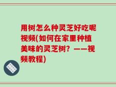 用树怎么种灵芝好吃呢视频(如何在家里种植美味的灵芝树？——视频教程)