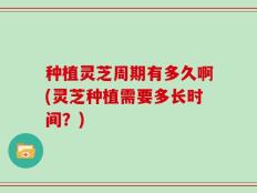 种植灵芝周期有多久啊(灵芝种植需要多长时间？)