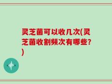 灵芝菌可以收几次(灵芝菌收割频次有哪些？)