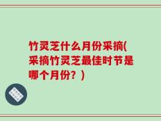 竹灵芝什么月份采摘(采摘竹灵芝最佳时节是哪个月份？)