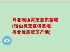 粤北瑶山灵芝直供基地(瑶山灵芝直供基地：粤北优质灵芝产地)