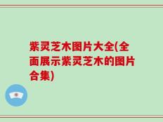 紫灵芝木图片大全(全面展示紫灵芝木的图片合集)
