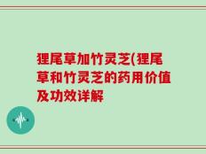 狸尾草加竹灵芝(狸尾草和竹灵芝的药用价值及功效详解