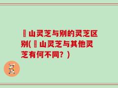 矷山灵芝与别的灵芝区别(矷山灵芝与其他灵芝有何不同？)