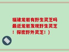 福建龙岩有野生灵芝吗最近龙岩发现野生灵芝！探密野外灵芝！)