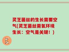灵芝菌丝的生长需要空气(灵芝菌丝需氧环境生长：空气是关键！)