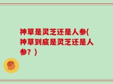神草是灵芝还是人参(神草到底是灵芝还是人参？)