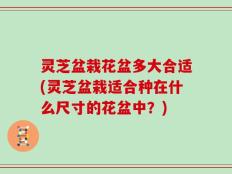 灵芝盆栽花盆多大合适(灵芝盆栽适合种在什么尺寸的花盆中？)