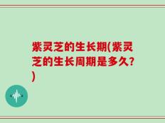 紫灵芝的生长期(紫灵芝的生长周期是多久？)