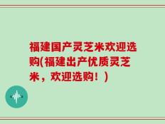 福建国产灵芝米欢迎选购(福建出产优质灵芝米，欢迎选购！)