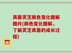 真菌灵芝颜色变化图解图片(颜色变化图解，了解灵芝真菌的成长过程)