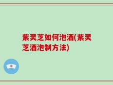 紫灵芝如何泡酒(紫灵芝酒泡制方法)