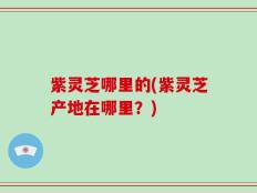 紫灵芝哪里的(紫灵芝产地在哪里？)